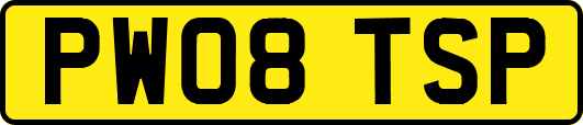 PW08TSP