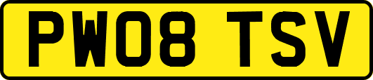PW08TSV