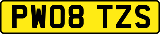 PW08TZS
