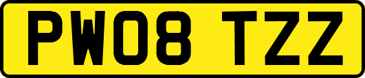 PW08TZZ