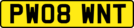 PW08WNT