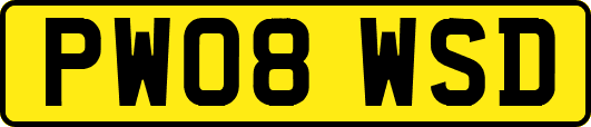 PW08WSD