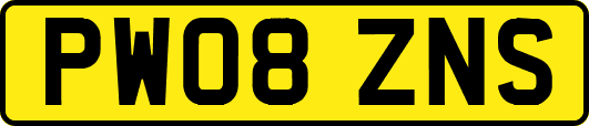 PW08ZNS