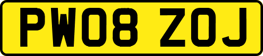 PW08ZOJ