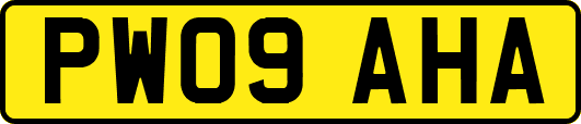 PW09AHA