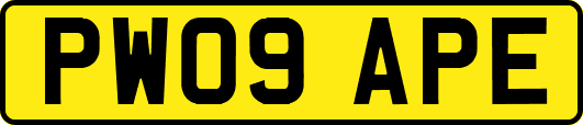 PW09APE