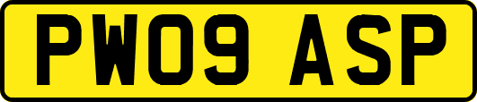 PW09ASP