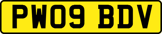 PW09BDV