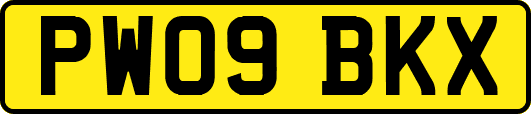 PW09BKX
