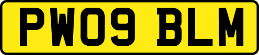 PW09BLM