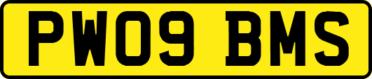 PW09BMS