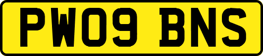 PW09BNS