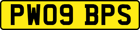PW09BPS