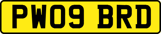 PW09BRD