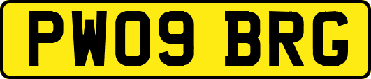 PW09BRG
