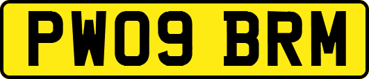 PW09BRM
