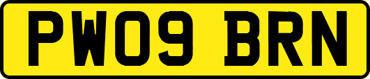 PW09BRN