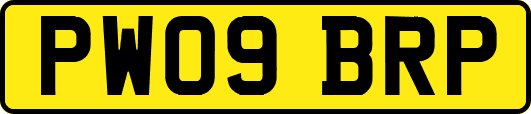PW09BRP