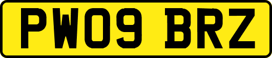 PW09BRZ