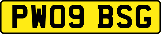 PW09BSG