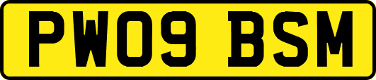 PW09BSM