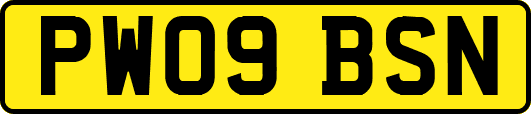 PW09BSN