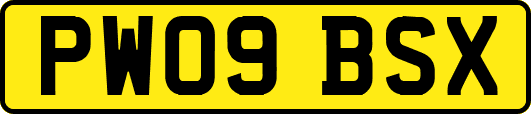 PW09BSX