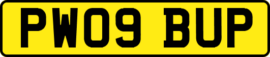 PW09BUP
