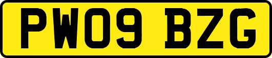 PW09BZG