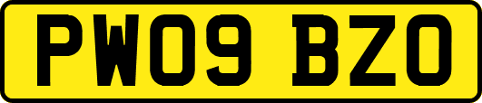 PW09BZO