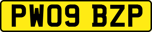 PW09BZP