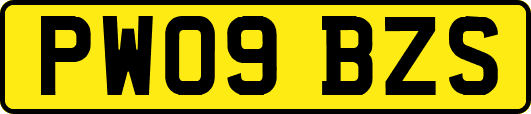 PW09BZS