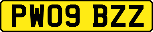 PW09BZZ