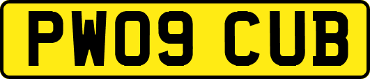 PW09CUB