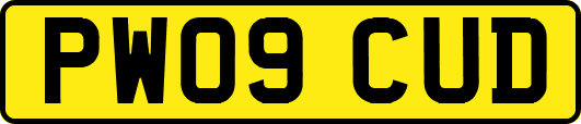 PW09CUD