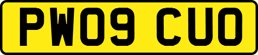PW09CUO