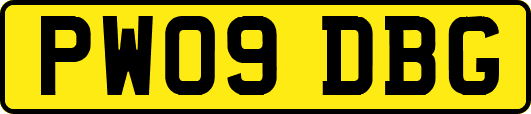 PW09DBG