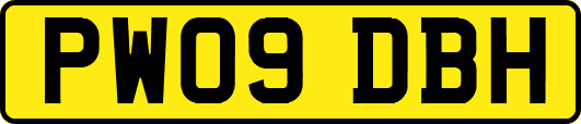 PW09DBH