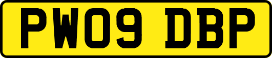 PW09DBP