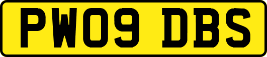 PW09DBS