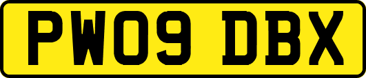 PW09DBX