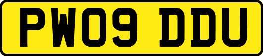 PW09DDU