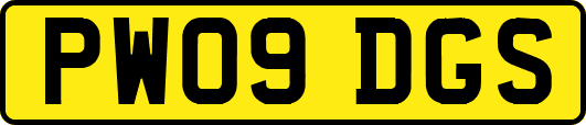 PW09DGS