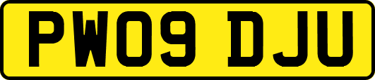 PW09DJU