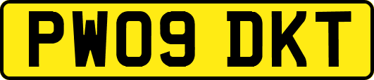 PW09DKT
