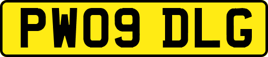 PW09DLG