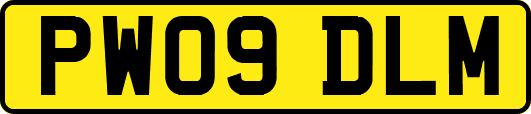 PW09DLM