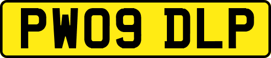 PW09DLP