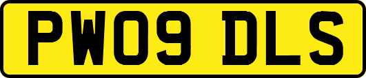 PW09DLS