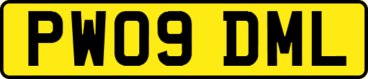 PW09DML